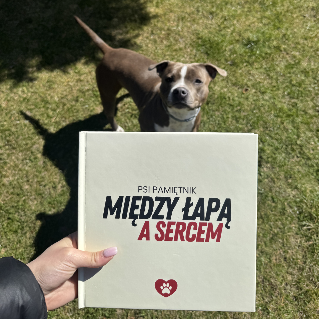 Między łapą a sercem - Psi Pamiętnik